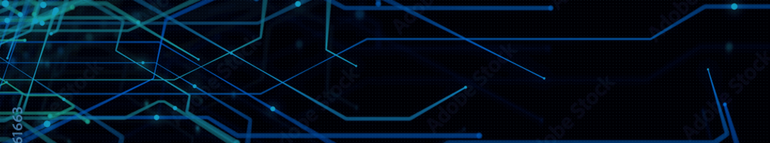 DX Consulting