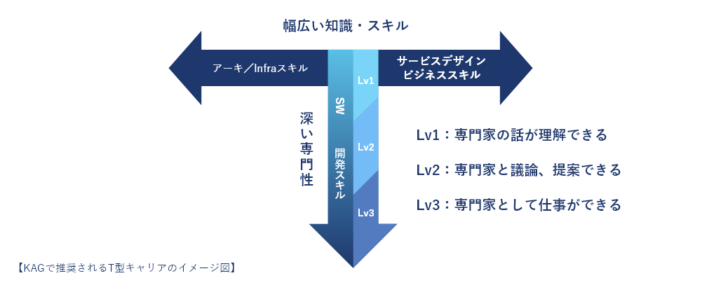 KAGで推奨されるT型キャリアのイメージ図